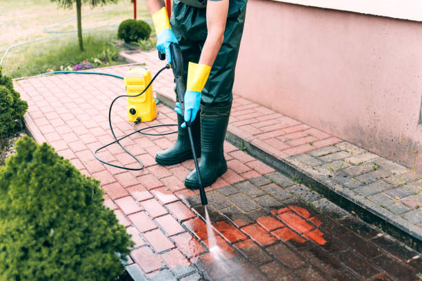 Best Vinyl Siding Pressure Washing in New Sharon, IA